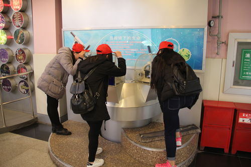 樂于探索，熱愛科學(xué) 酒店管理系青年志愿者赴科技館開展專業(yè)融合之旅